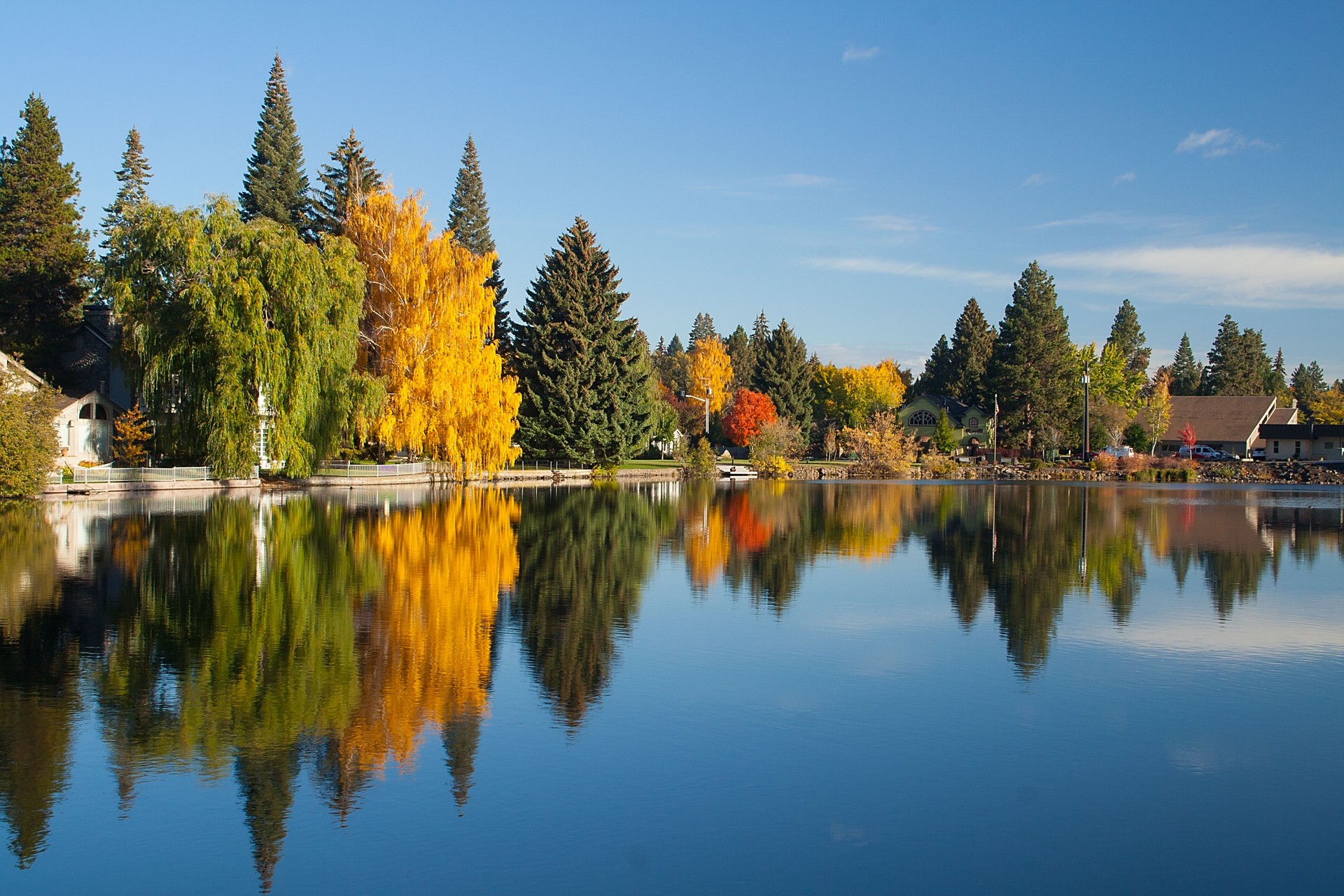Trees and buildings reflected in lake